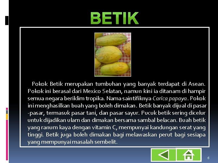 Pokok Betik merupakan tumbuhan yang banyak terdapat di Asean. Pokok ini berasal dari Mexico