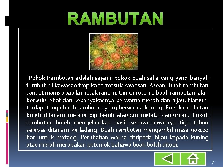 Pokok Rambutan adalah sejenis pokok buah saka yang banyak tumbuh di kawasan tropika termasuk