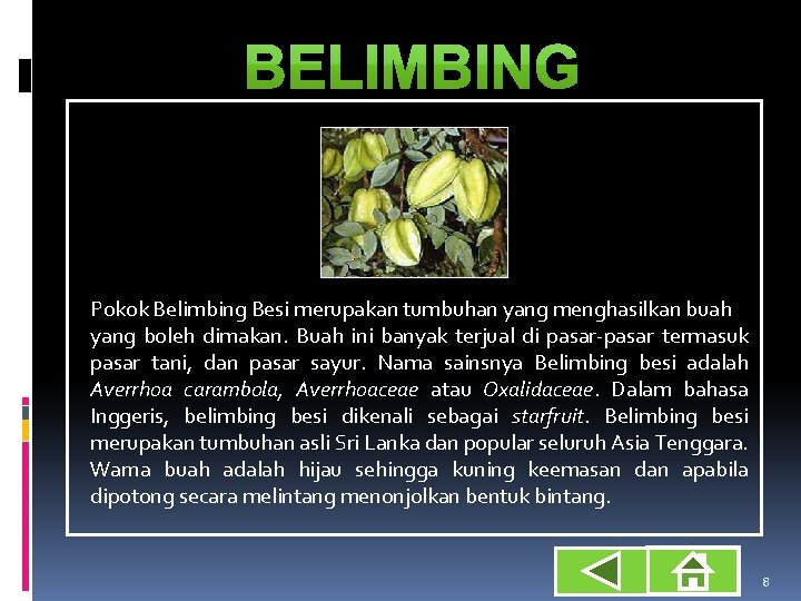 Pokok Belimbing Besi merupakan tumbuhan yang menghasilkan buah yang boleh dimakan. Buah ini banyak
