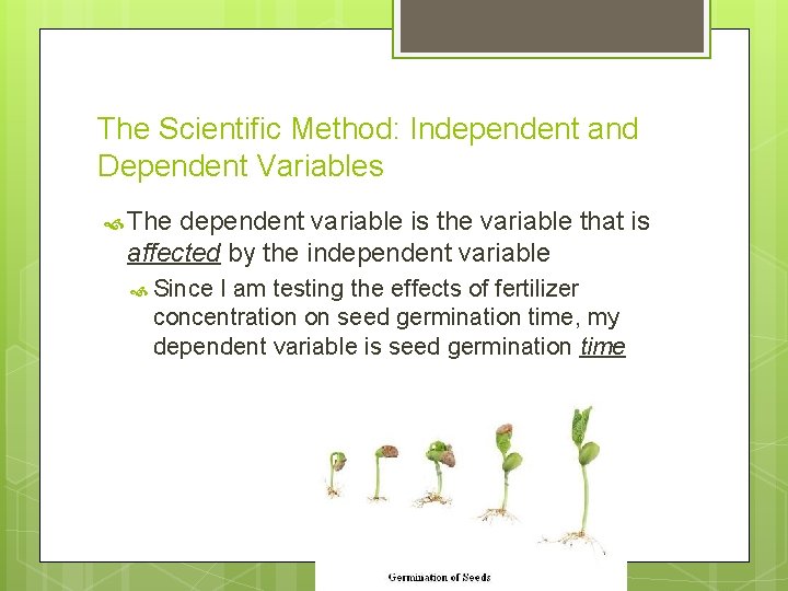 The Scientific Method: Independent and Dependent Variables The dependent variable is the variable that