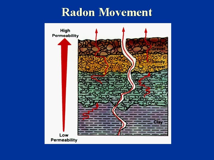 Radon Movement 