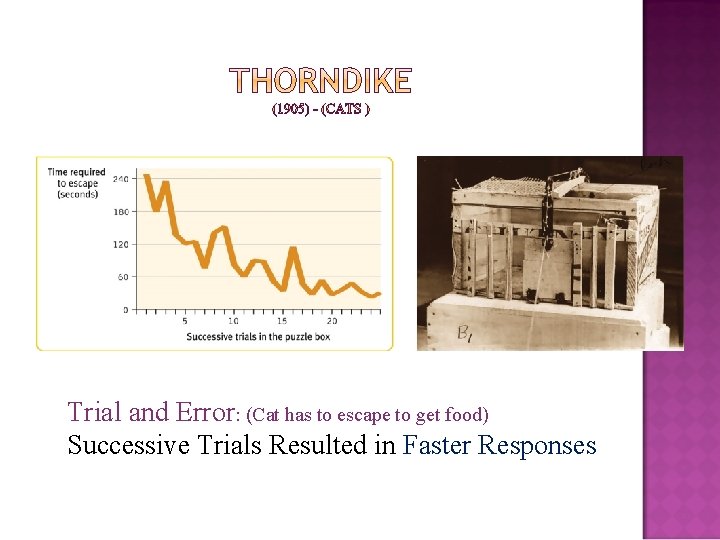 Trial and Error: (Cat has to escape to get food) Successive Trials Resulted in