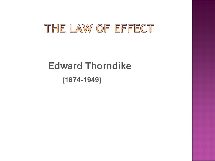 Edward Thorndike (1874 -1949) 