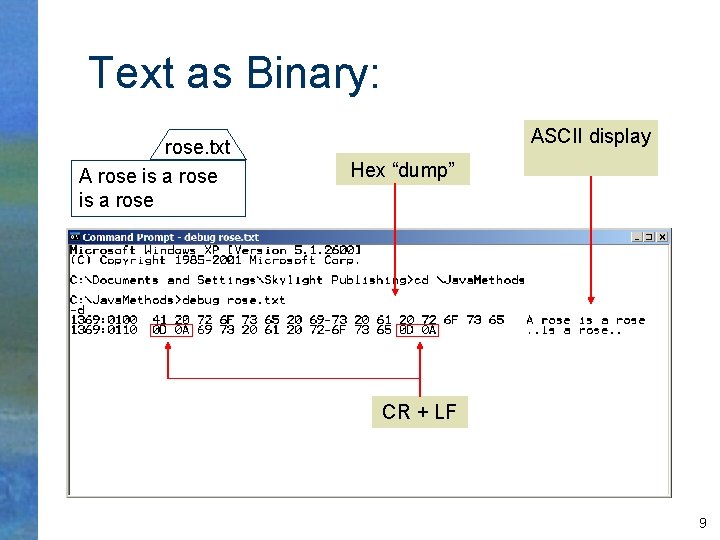 Text as Binary: rose. txt A rose is a rose ASCII display Hex “dump”