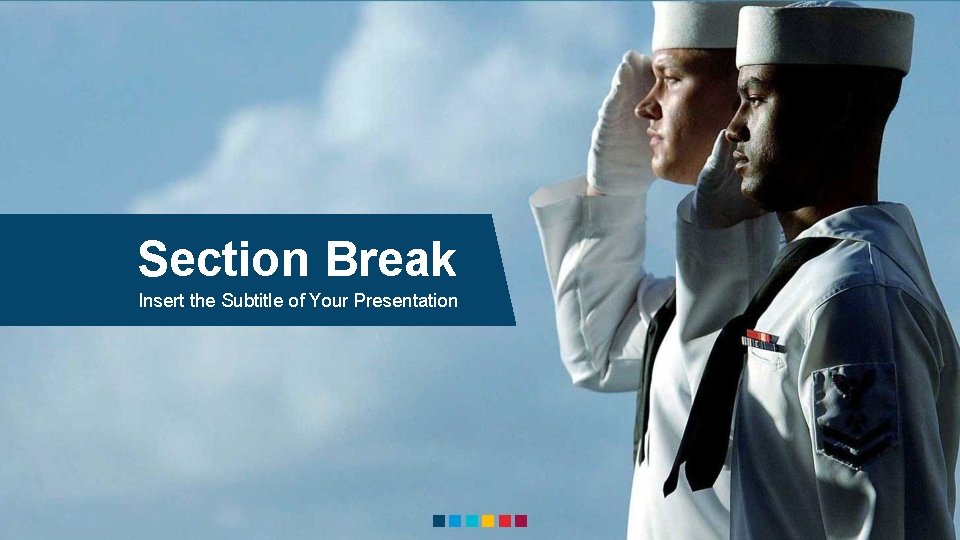 Section Break Insert the Subtitle of Your Presentation 