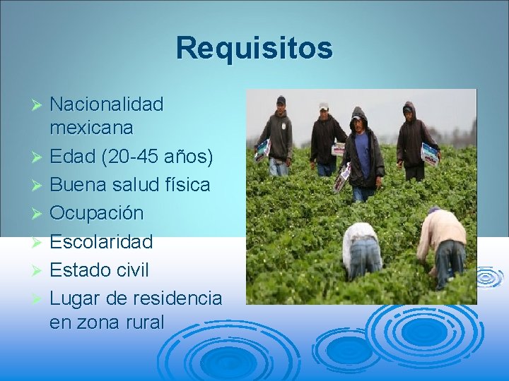 Requisitos Nacionalidad mexicana Ø Edad (20 -45 años) Ø Buena salud física Ø Ocupación