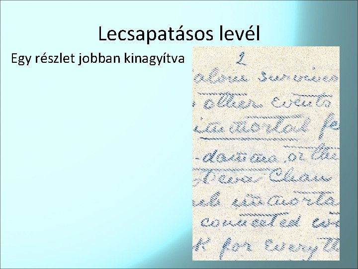 Lecsapatásos levél Egy részlet jobban kinagyítva 