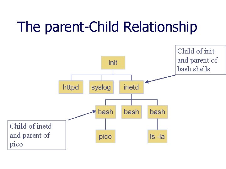 The parent-Child Relationship Child of init and parent of bash shells Child of inetd