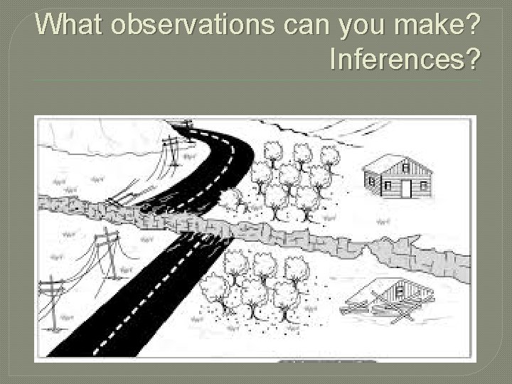 What observations can you make? Inferences? 