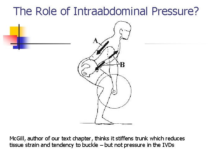 The Role of Intraabdominal Pressure? Mc. Gill, author of our text chapter, thinks it