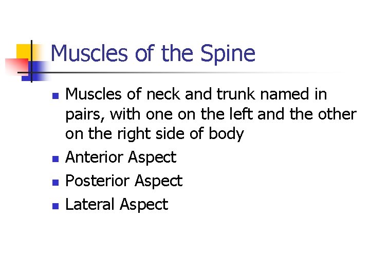 Muscles of the Spine n n Muscles of neck and trunk named in pairs,