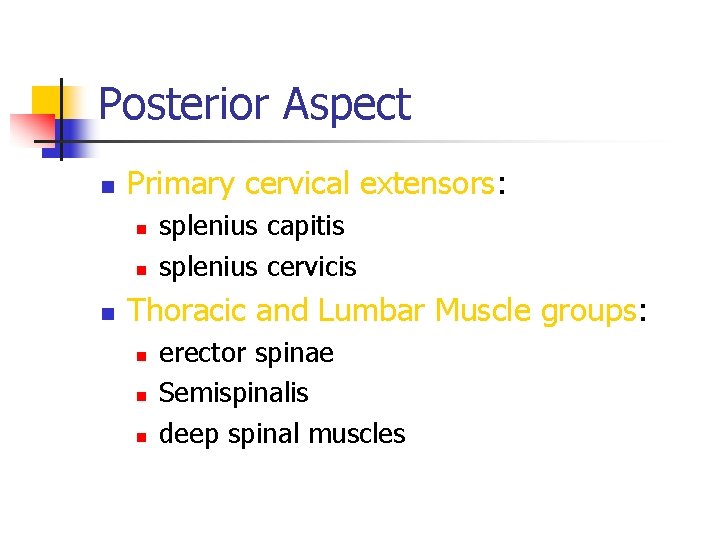 Posterior Aspect n Primary cervical extensors: n n n splenius capitis splenius cervicis Thoracic