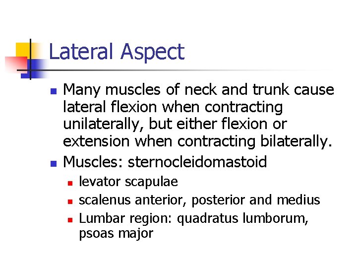 Lateral Aspect n n Many muscles of neck and trunk cause lateral flexion when