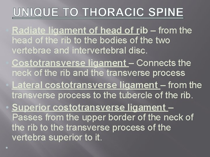  • Radiate ligament of head of rib – from the head of the