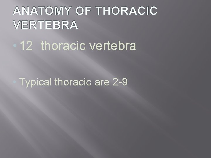  • 12 thoracic vertebra • Typical thoracic are 2 -9 