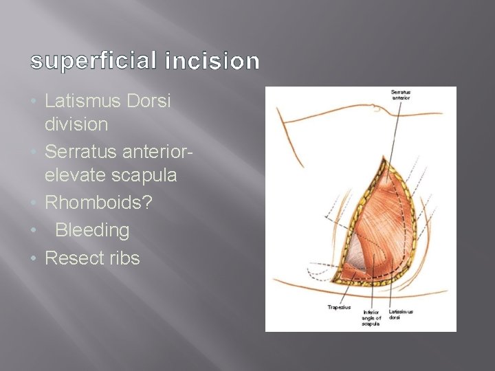  • Latismus Dorsi division • Serratus anteriorelevate scapula • Rhomboids? • Bleeding •