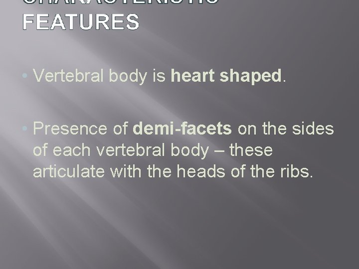  • Vertebral body is heart shaped. • Presence of demi-facets on the sides