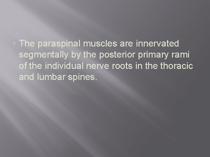  • The paraspinal muscles are innervated segmentally by the posterior primary rami of