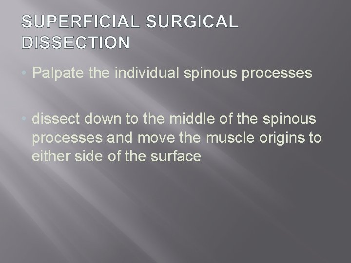  • Palpate the individual spinous processes • dissect down to the middle of