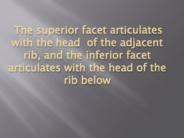 The superior facet articulates with the head of the adjacent rib, and the inferior