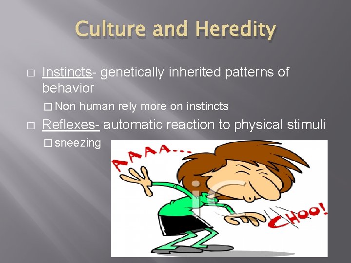 Culture and Heredity � Instincts- genetically inherited patterns of behavior � Non � human