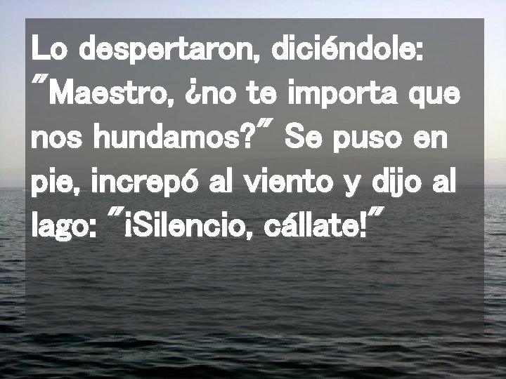 Lo despertaron, diciéndole: "Maestro, ¿no te importa que nos hundamos? " Se puso en