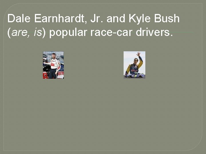 Dale Earnhardt, Jr. and Kyle Bush (are, is) popular race-car drivers. 