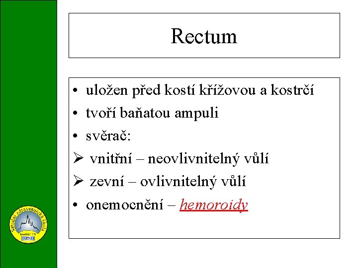 Rectum • uložen před kostí křížovou a kostrčí • tvoří baňatou ampuli • svěrač: