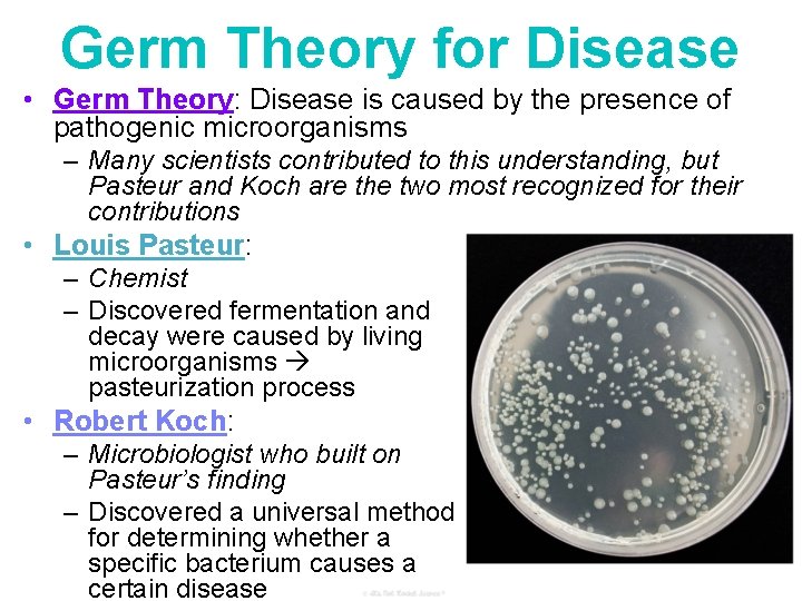 Germ Theory for Disease • Germ Theory: Disease is caused by the presence of