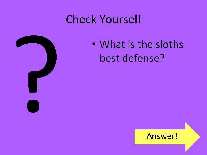 ? Check Yourself • What is the sloths best defense? Answer! 