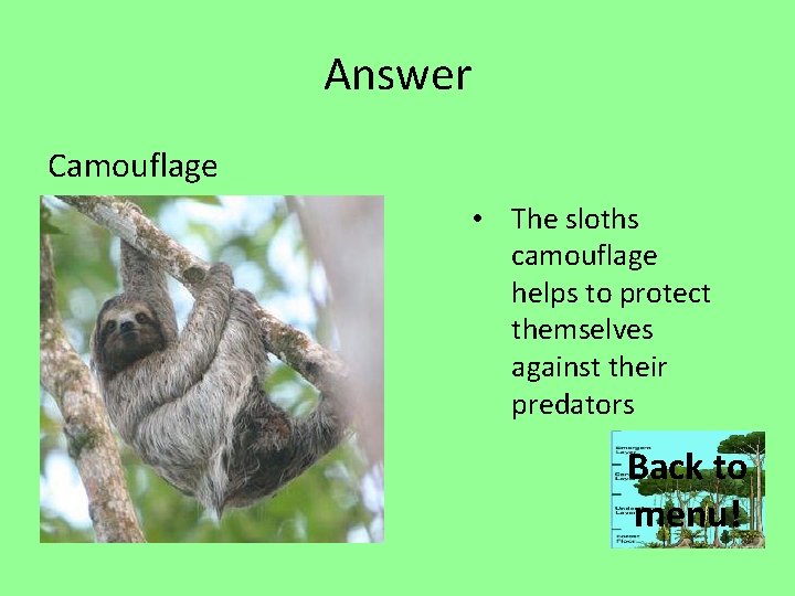 Answer Camouflage • The sloths camouflage helps to protect themselves against their predators Back