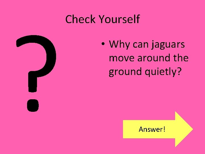 ? Check Yourself • Why can jaguars move around the ground quietly? Answer! 