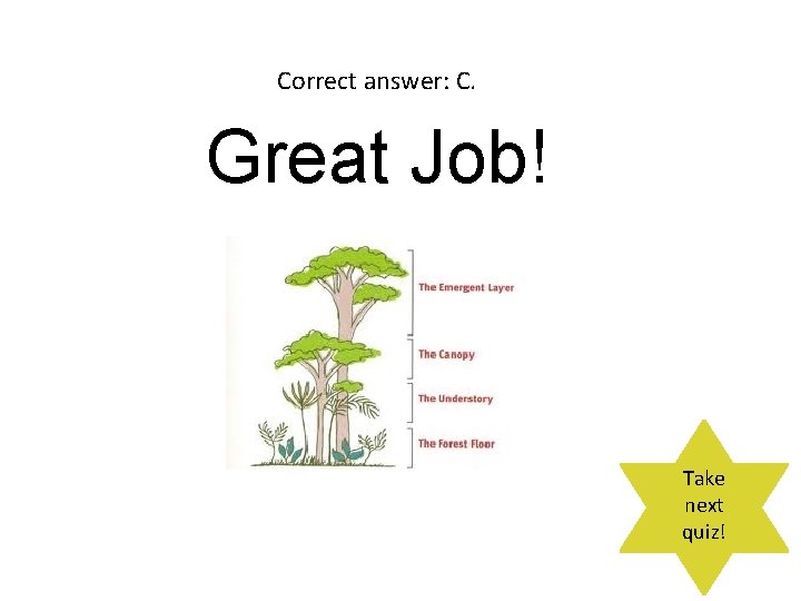 Correct answer: C. Great Job! Take next quiz! 