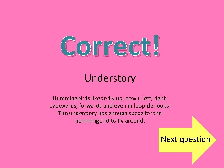 Correct! Understory Hummingbirds like to fly up, down, left, right, backwards, forwards and even