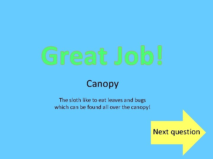 Great Job! Canopy The sloth like to eat leaves and bugs which can be