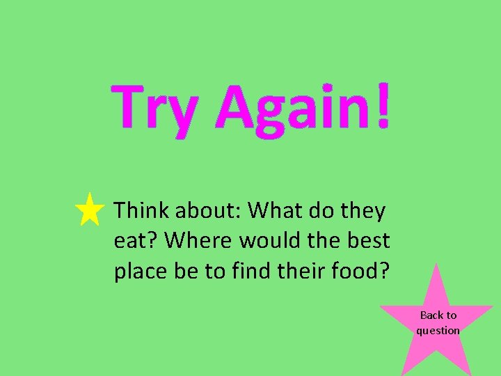 Try Again! Think about: What do they eat? Where would the best place be