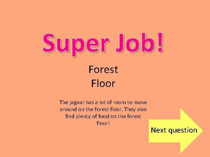 Super Job! Forest Floor The jaguar has a lot of room to move around