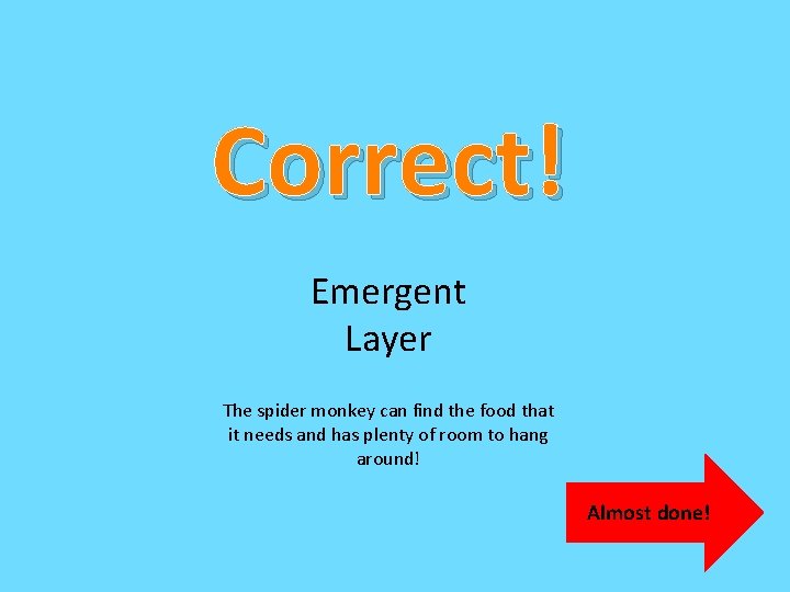 Correct! Emergent Layer The spider monkey can find the food that it needs and