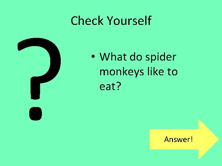 ? Check Yourself • What do spider monkeys like to eat? Answer! 