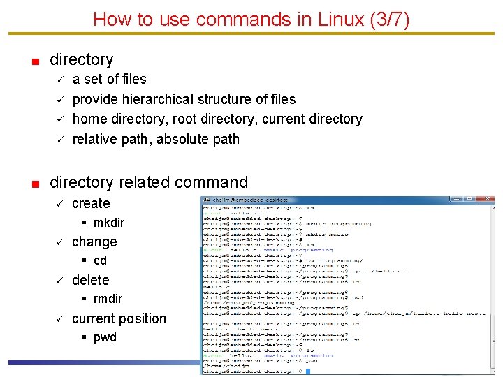 How to use commands in Linux (3/7) directory ü ü a set of files