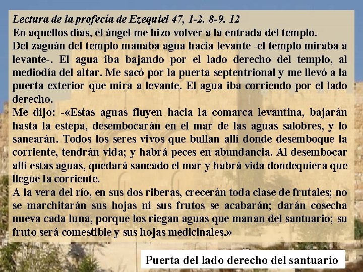 Lectura de la profecía de Ezequiel 47, 1 -2. 8 -9. 12 En aquellos