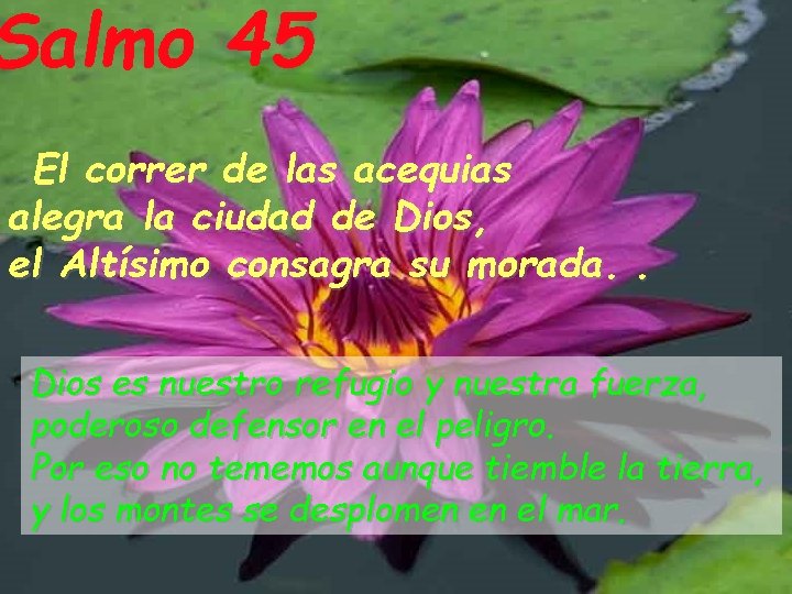 Salmo 45 El correr de las acequias alegra la ciudad de Dios, el Altísimo