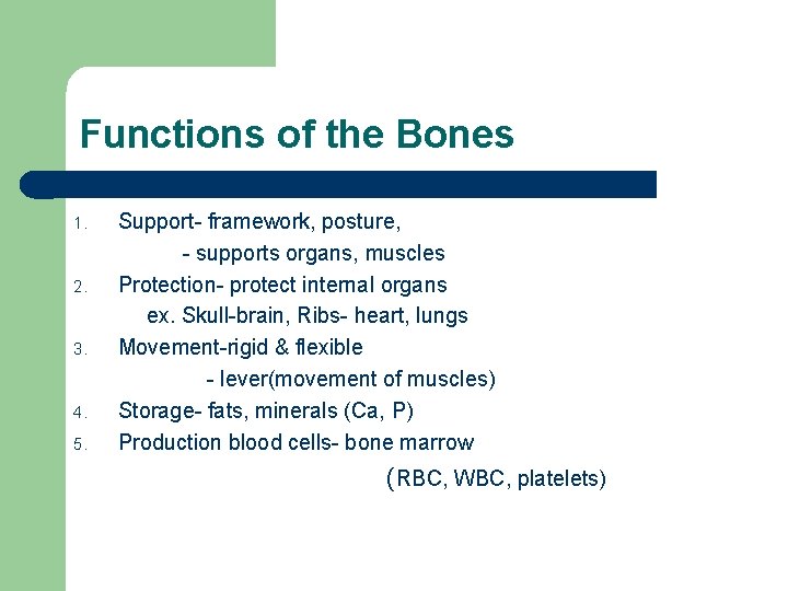 Functions of the Bones 1. 2. 3. 4. 5. Support- framework, posture, - supports