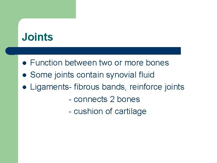 Joints l l l Function between two or more bones Some joints contain synovial