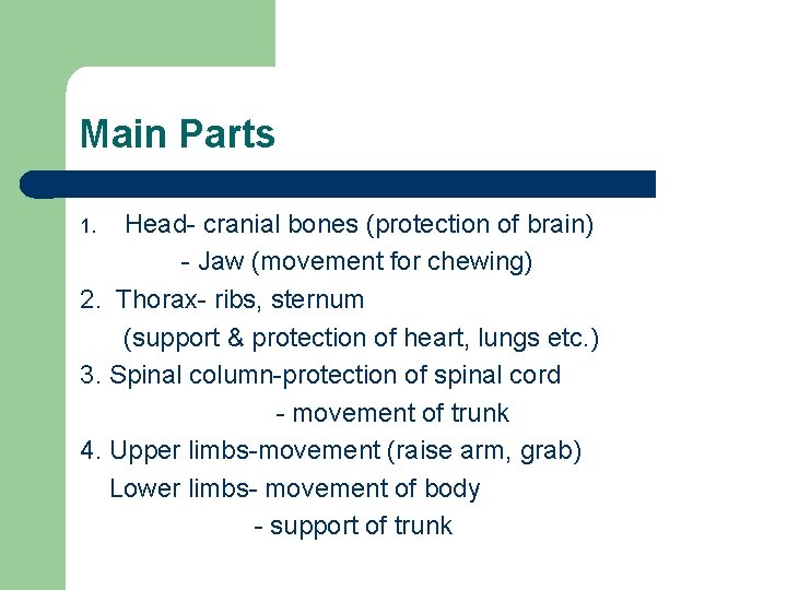Main Parts Head- cranial bones (protection of brain) - Jaw (movement for chewing) 2.