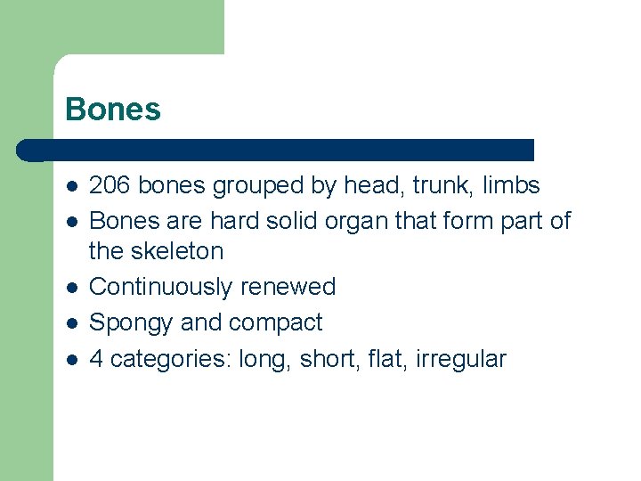 Bones l l l 206 bones grouped by head, trunk, limbs Bones are hard