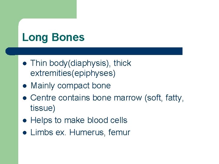 Long Bones l l l Thin body(diaphysis), thick extremities(epiphyses) Mainly compact bone Centre contains