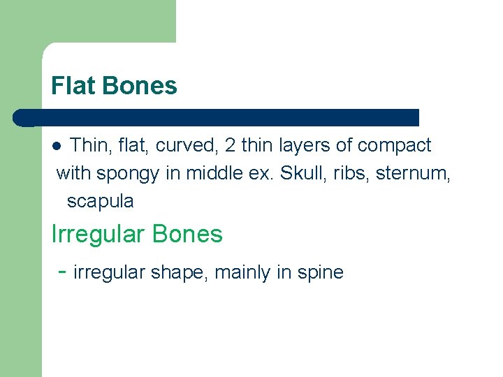 Flat Bones Thin, flat, curved, 2 thin layers of compact with spongy in middle
