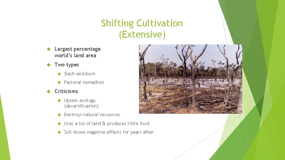 Shifting Cultivation (Extensive) Largest percentage world’s land area Two types Slash-and-burn Pastoral nomadism of