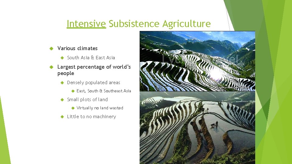 Intensive Subsistence Agriculture Various climates South Asia & East Asia Largest percentage of world’s